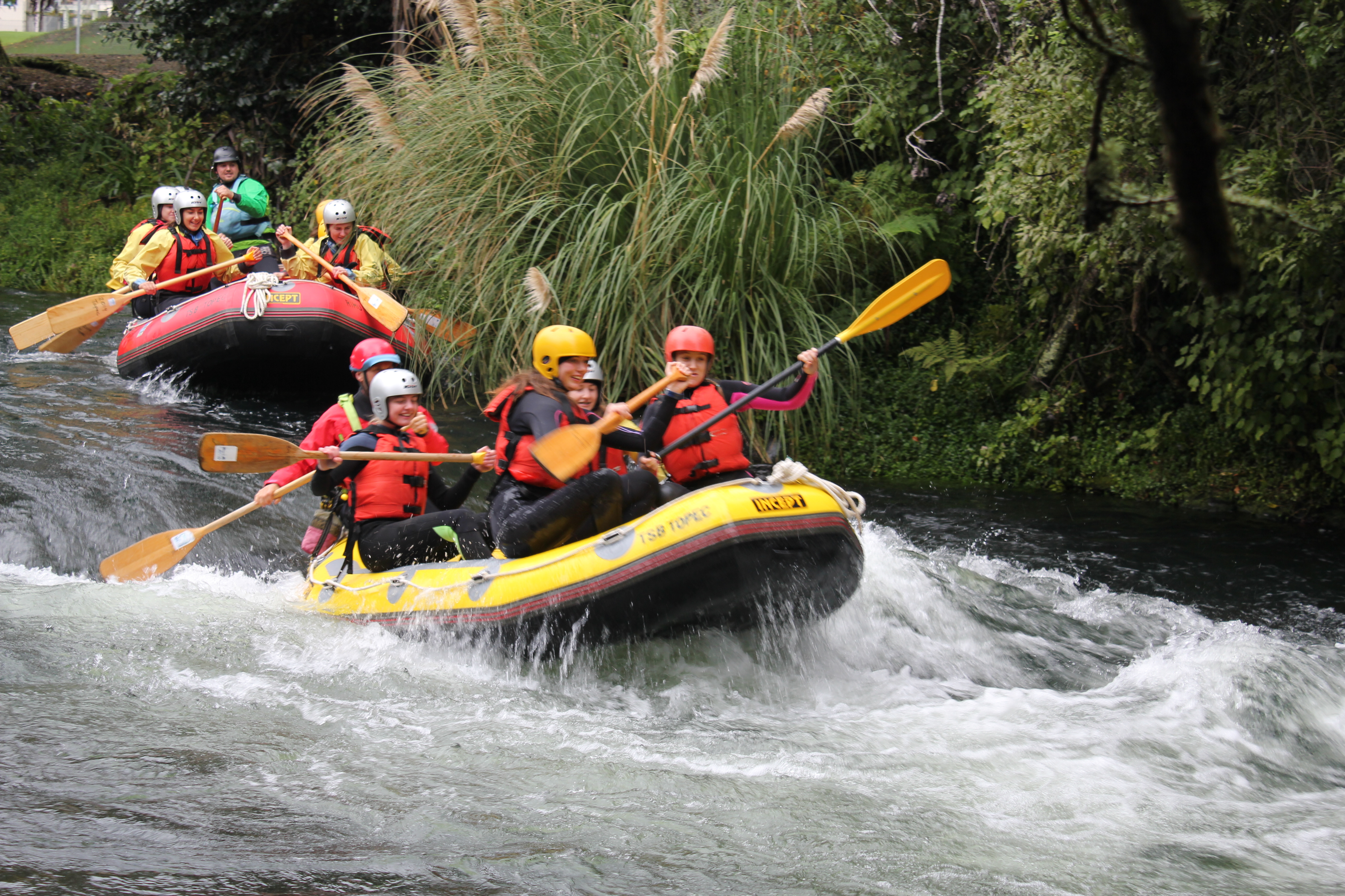 Our Stories  Issue 67 TOPEC